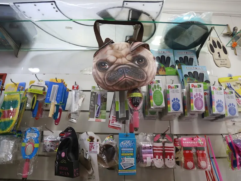 Shopawholic, photo 5