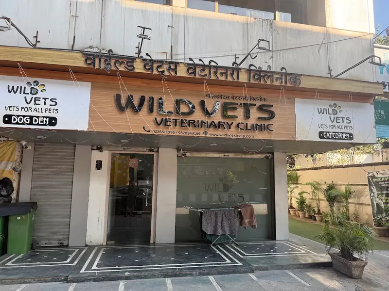 Wild Vets India, photo 2