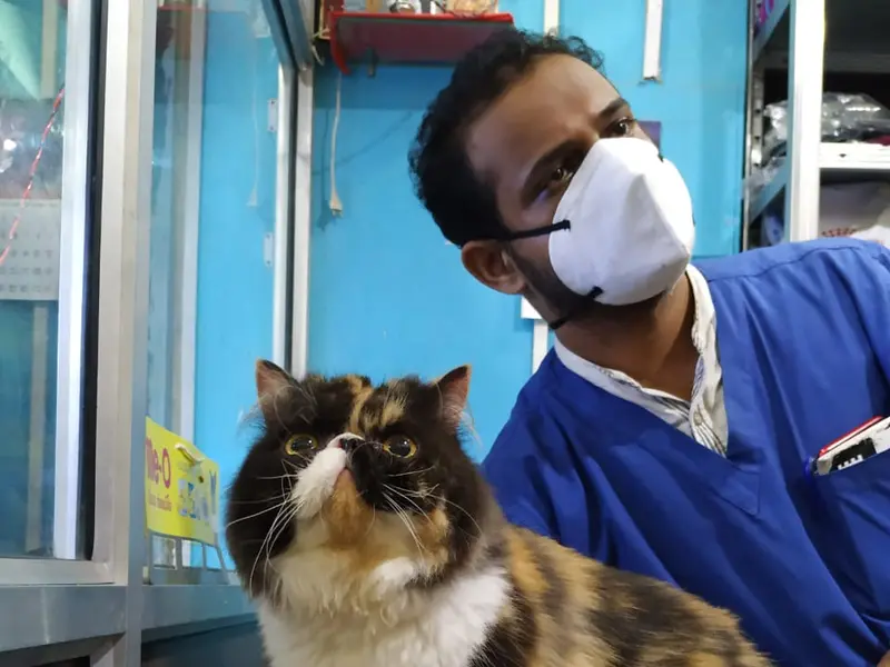 SUNLIFE VETERINARY CARE, photo 2