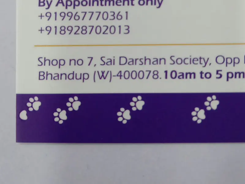 SUNLIFE VETERINARY CARE, photo 5