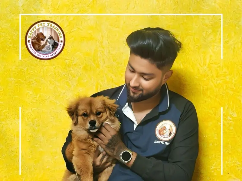 Happy Pet Training – Best Dog Training Services in Mumbai, photo 3