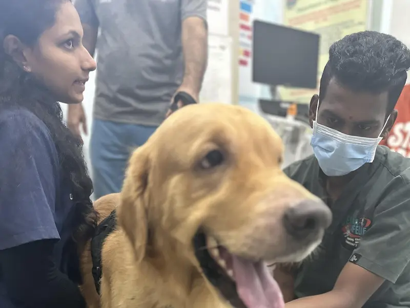 Cessna Lifeline Veterinary Hospital, Navi Mumbai, photo 3