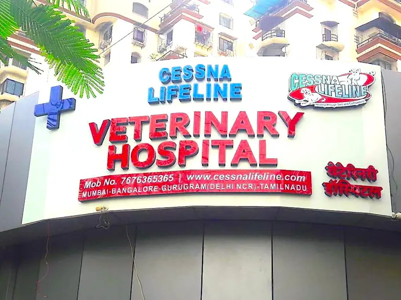Cessna Lifeline Veterinary Hospital, Navi Mumbai, photo 4