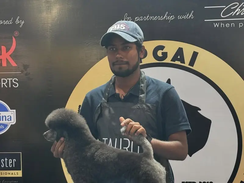 AB Pet Grooming Studio, photo 3