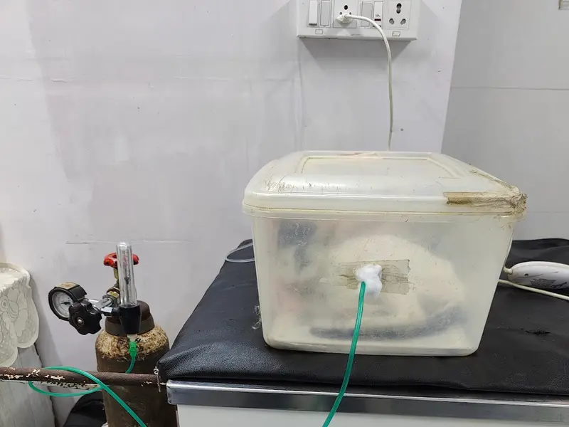Dr. Deepa Katyal's AWRC - The Vet Clinic for your Pet's concerns, photo 4