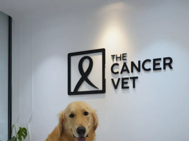 The Cancer Vet, photo 5