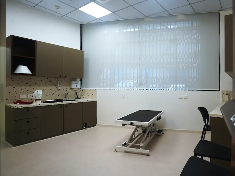 The Cancer Vet
