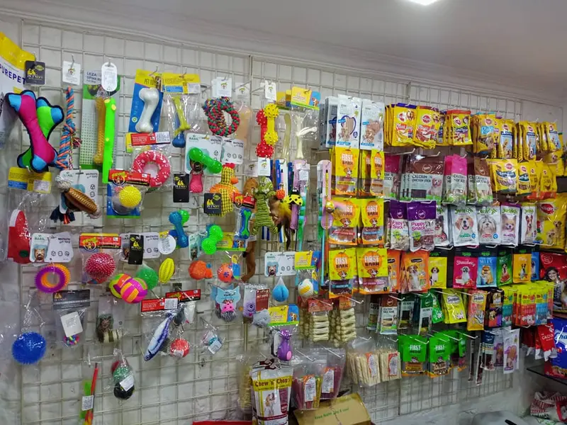 The Wonder Pets Store & Grooming parlour spa, photo 2