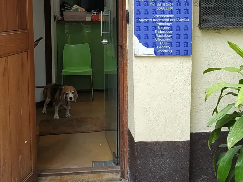 PetZone Churchgate, photo 5