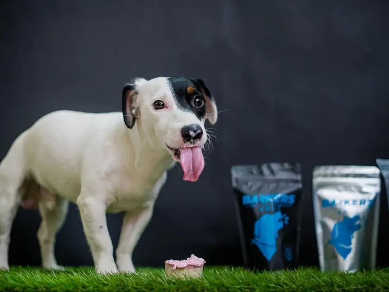 Bombay Barkers Dog Bakery, photo 5