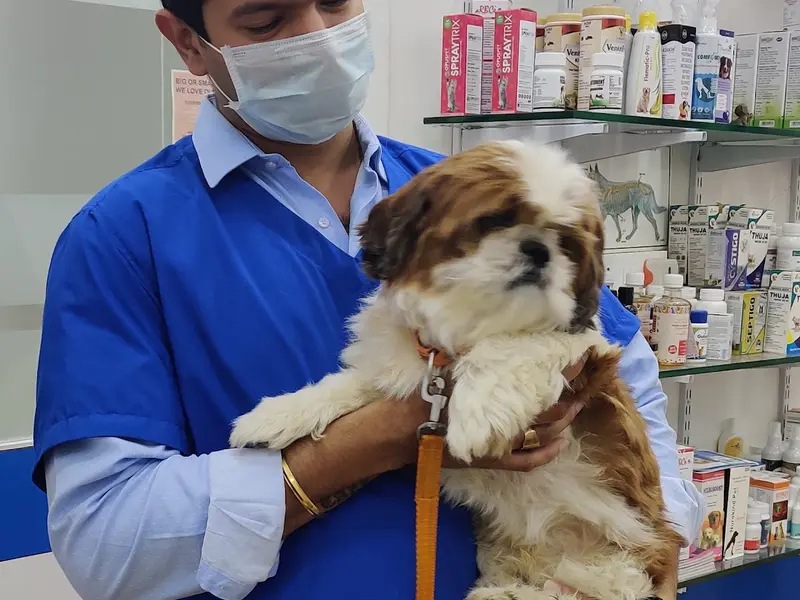 AcuVet Veterinary Speciality Clinic, photo 2