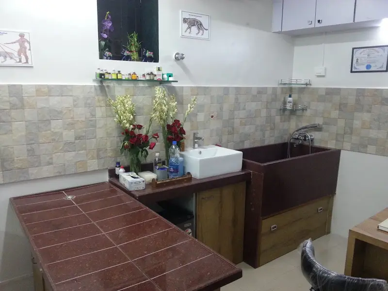 AcuVet Veterinary Speciality Clinic, photo 3
