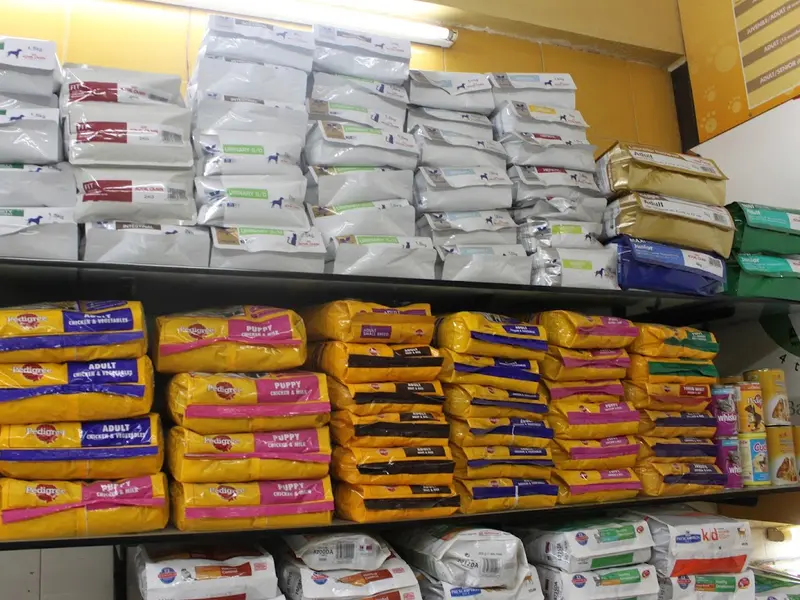 Dr Makarand Chavan’s Dogs & Cats Veterinary Clinic, photo 2