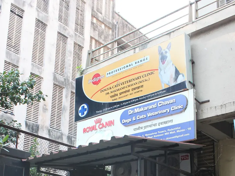 Dr Makarand Chavan’s Dogs & Cats Veterinary Clinic, photo 3