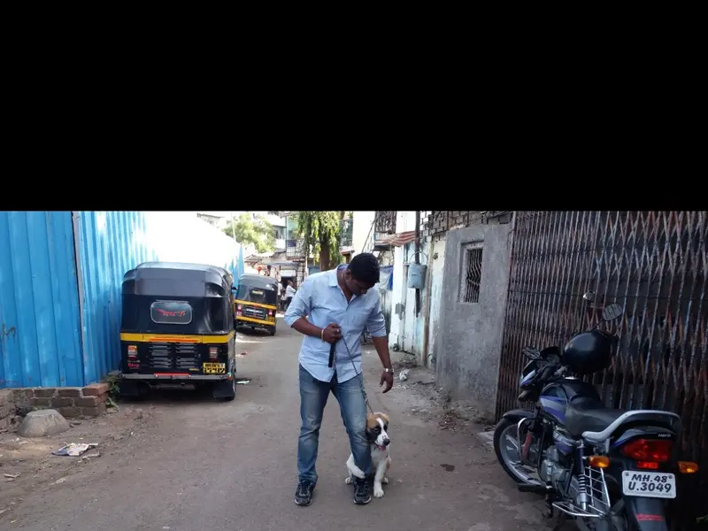 Kunal Dog Trainer_Canine Behaviourist, photo 2