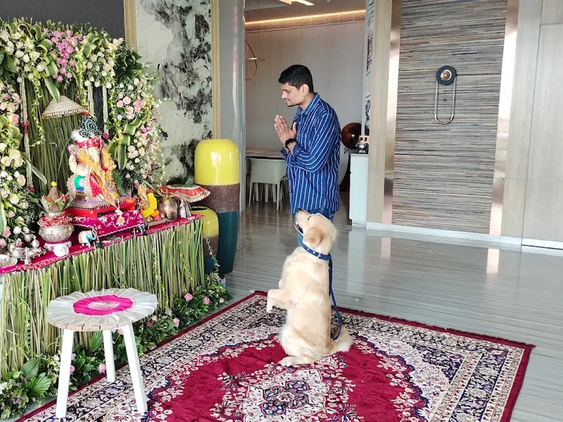 Kunal Dog Trainer_Canine Behaviourist, photo 3