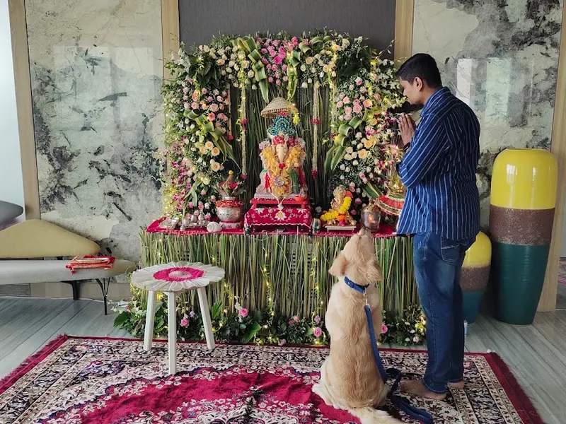 Kunal Dog Trainer_Canine Behaviourist, photo 4