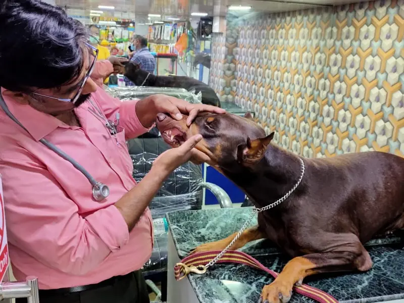 Pet Vet Clinic, photo 5
