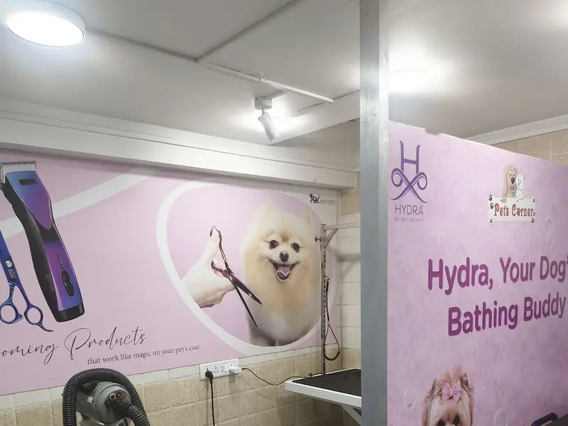 PETS CORNER PARLOUR ,SPA , PETSHOP, photo 3