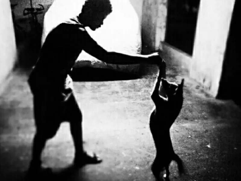 Dog Training Mumbai - Saket Gokhale, photo 3