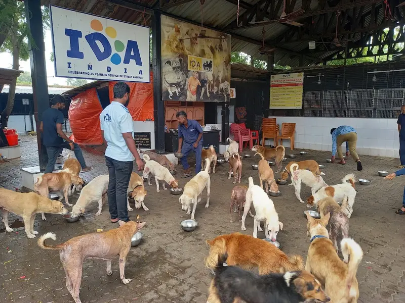 IDA India - Deonar, photo 2