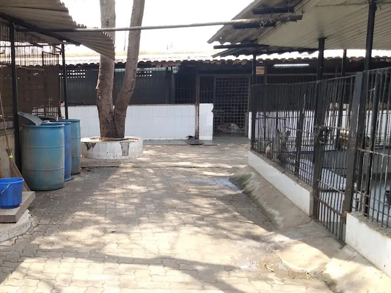 IDA India - Deonar, photo 5