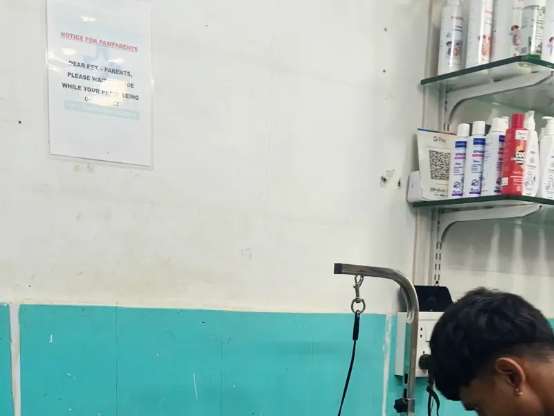 Dr Varsha's Pet's Healthcare & Nutrition, photo 2