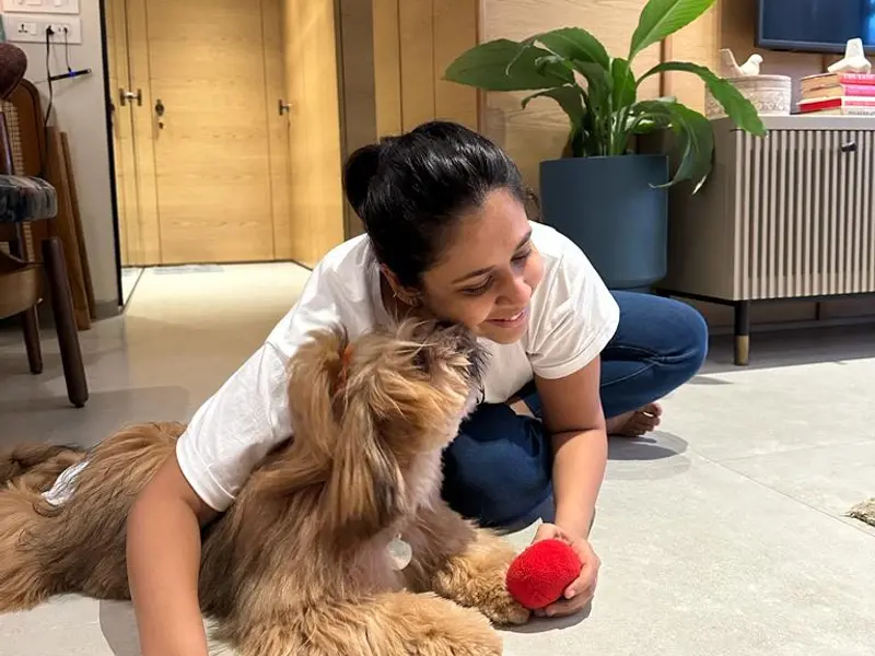 CANINE CLAN (ANKITA SHAH), photo 4