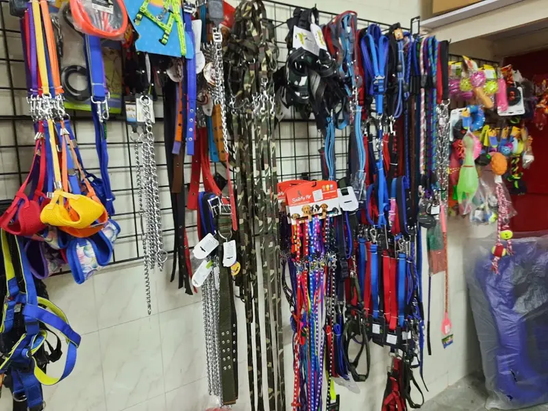Amikras Pet Shop, photo 3