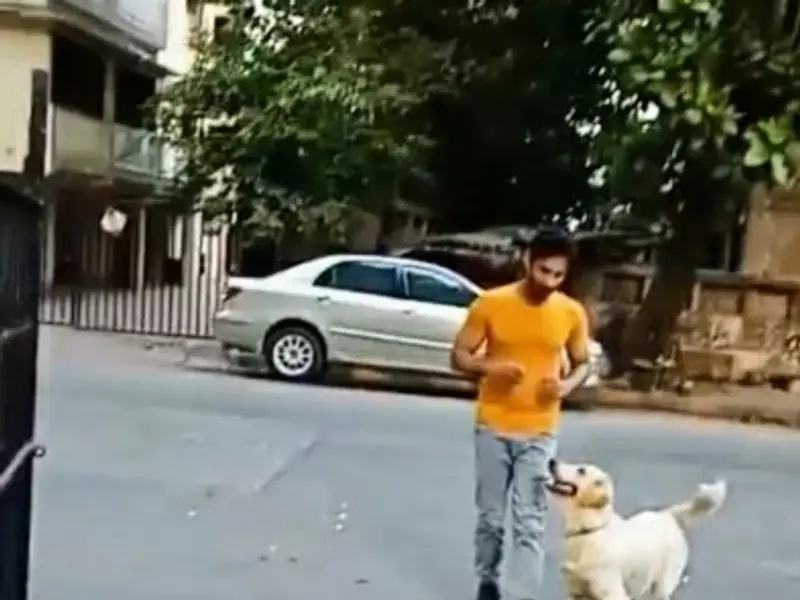 Petman Adil - Dog trainer and Dog behaviourist, photo 4