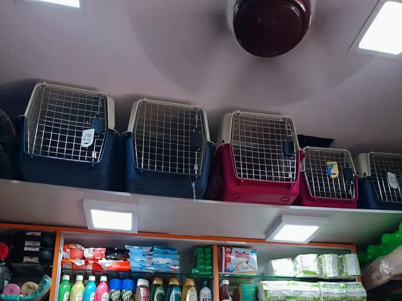 Royal art pet shop, photo 5