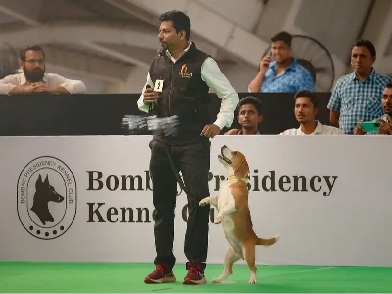 Dog Trainer in Mumbai