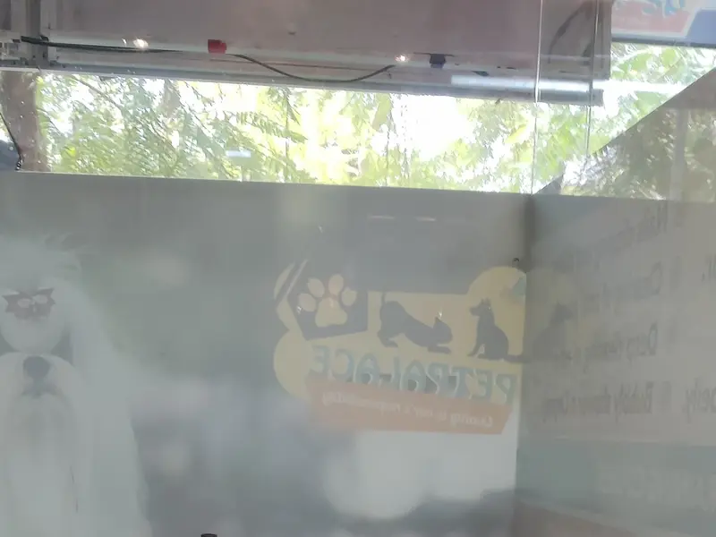 Pet Palace, photo 3