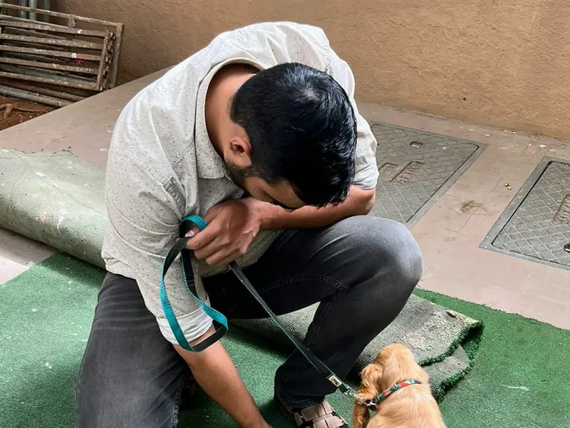 Ricky's Dog Training, photo 2