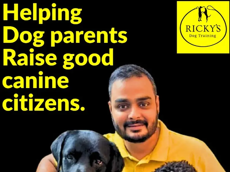 Ricky's Dog Training, photo 3