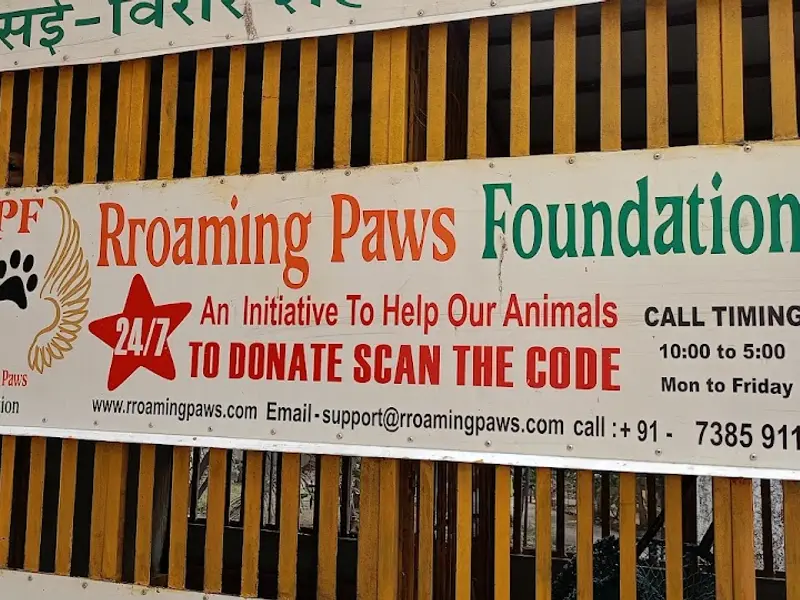 Rroaming Paws FOUNDATION, photo 2