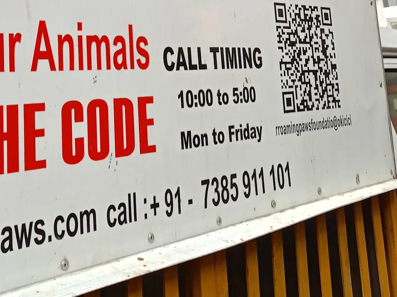 Rroaming Paws FOUNDATION, photo 4