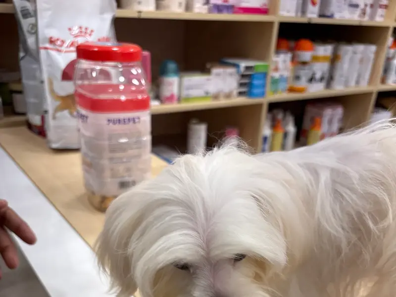 Vetic Pet Clinic Kandivali, photo 2