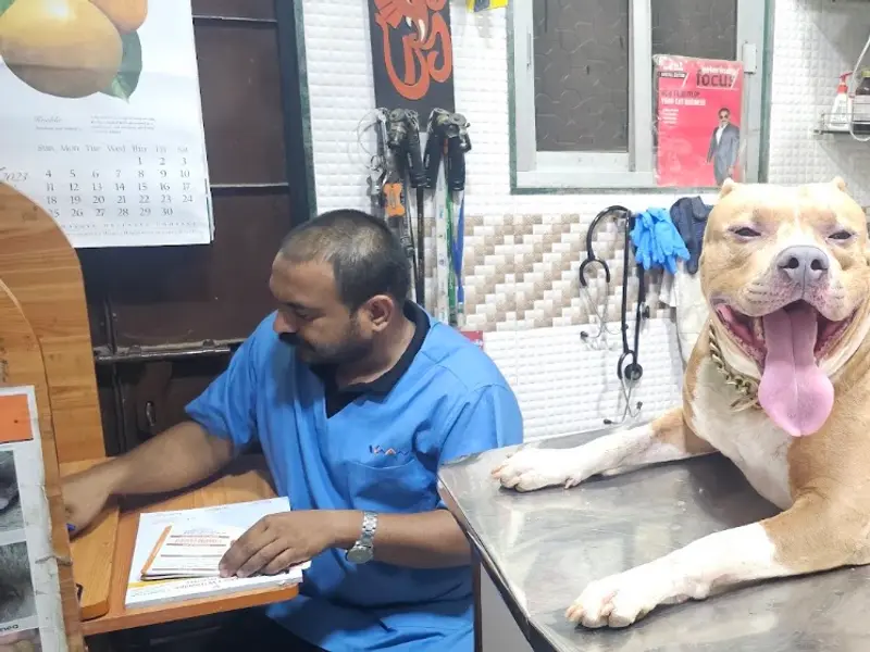 DR. UKALE'S PET HEALTH CLINIC (उकले पेट हेल्थ क्लिनिक), photo 5