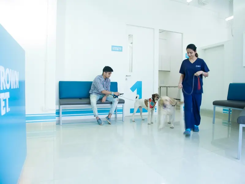 Crown Vet Khar, photo 2