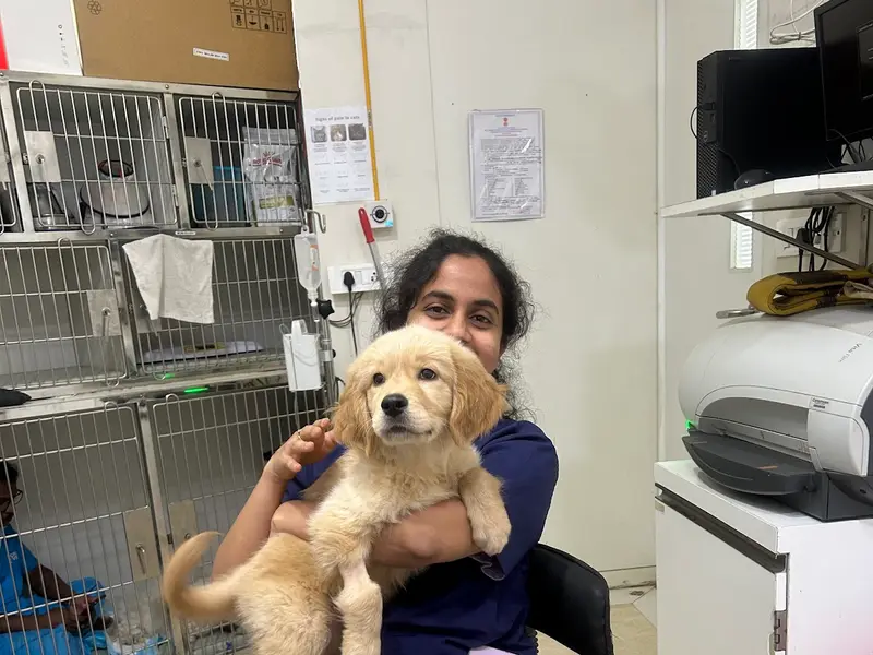 Crown Vet Khar, photo 3