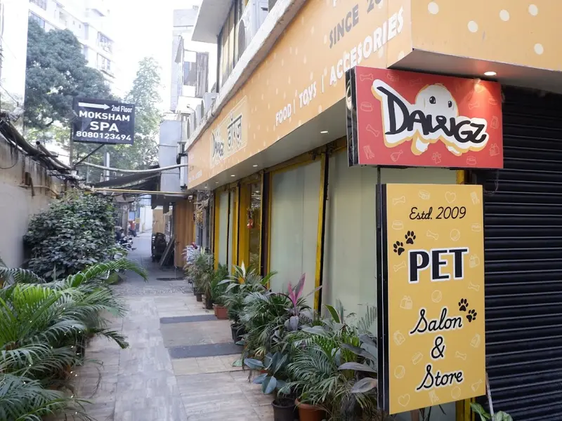 Dawgz, photo 5