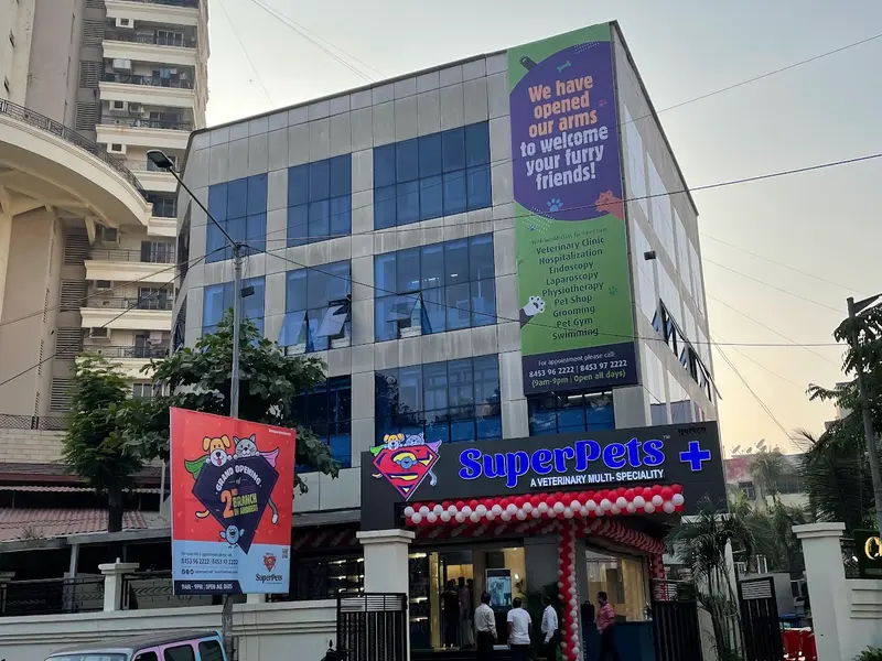 SUPERPETS - A VETERINARY MULTI-SPECIALITY LLP 24x7 Best In Mumbai, photo 3