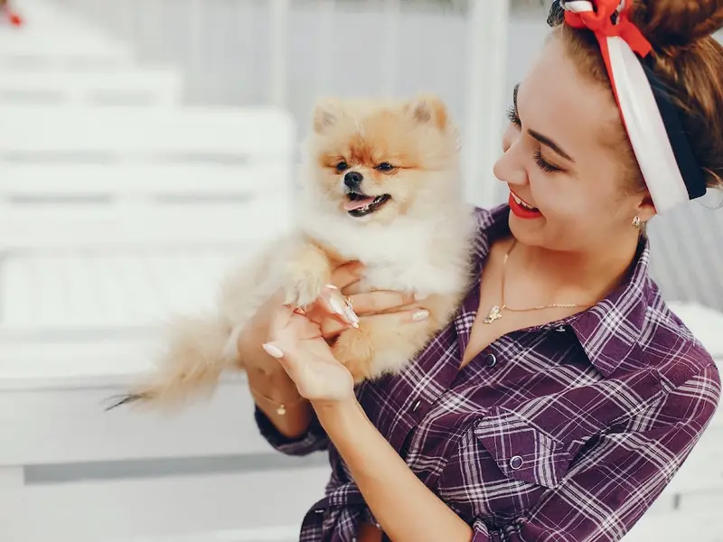 Tailwaggers Pet Salon, photo 4