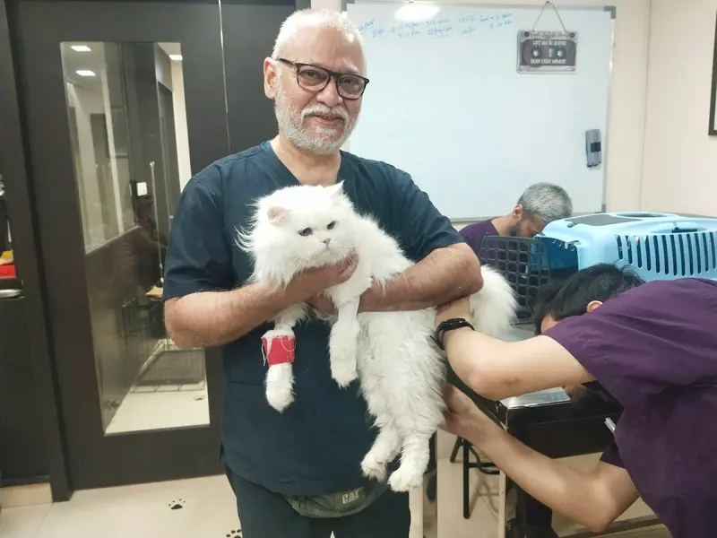 Zigly Petcare 24x7 Multi-Speciality Pet Hospital I Small Animal Clinic & Surgical Center, photo 3