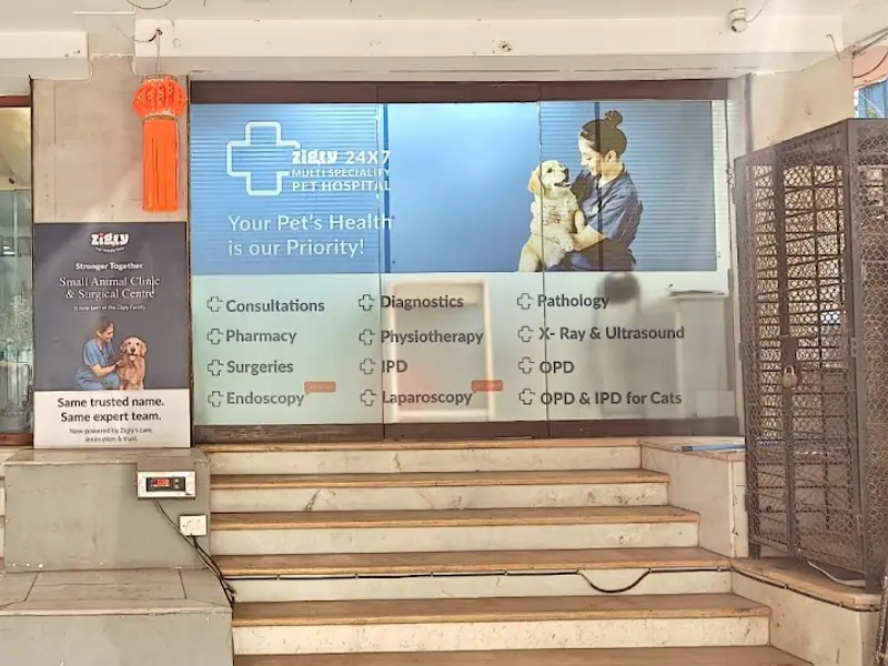 Zigly Petcare 24x7 Multi-Speciality Pet Hospital I Small Animal Clinic & Surgical Center, photo 5
