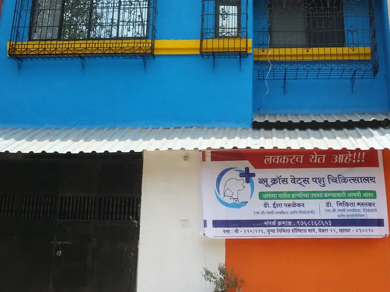 Blue Cross Vets Clinic- Pet X-Ray | Pets Blood Check | Animal Ultrasonography Navi Mumbai Kharghar, photo 4