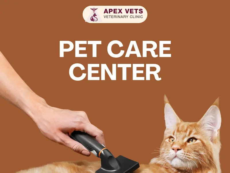 Apex Vet Clinic, photo 3