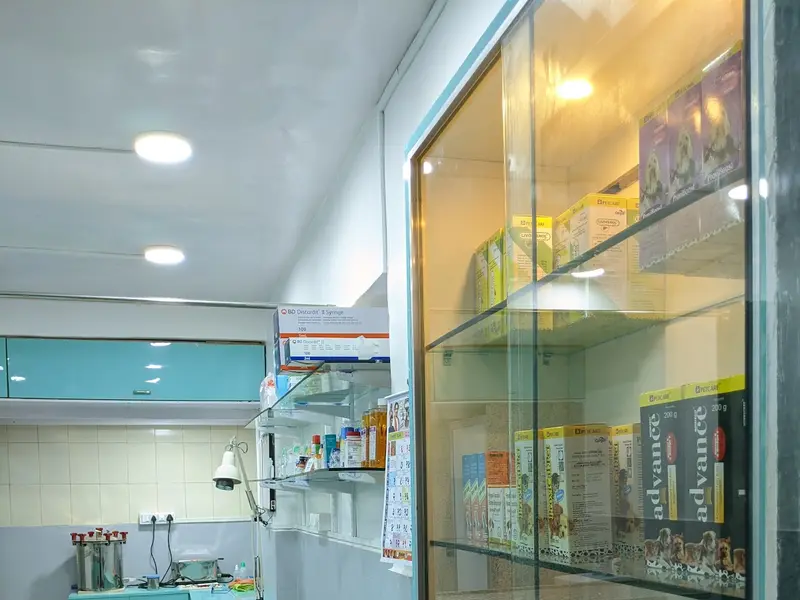 Star Pet Clinic & Surgical Center, photo 4