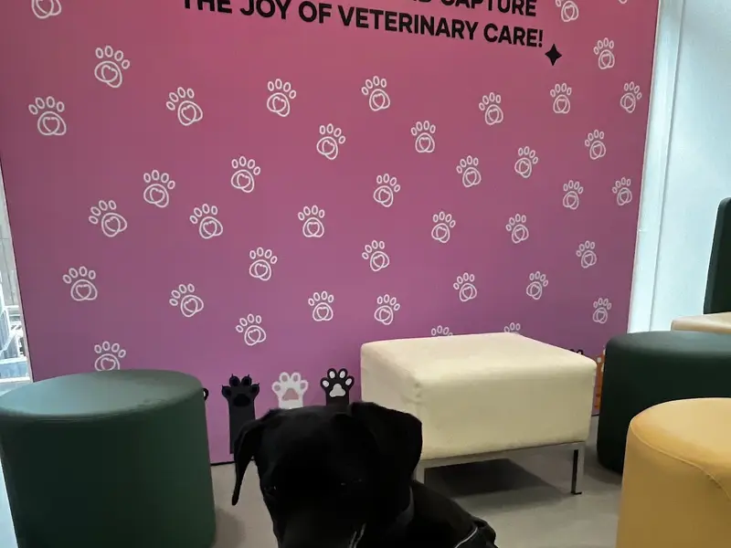 Tata Trust Small Animal Hospital, Mumbai, photo 3